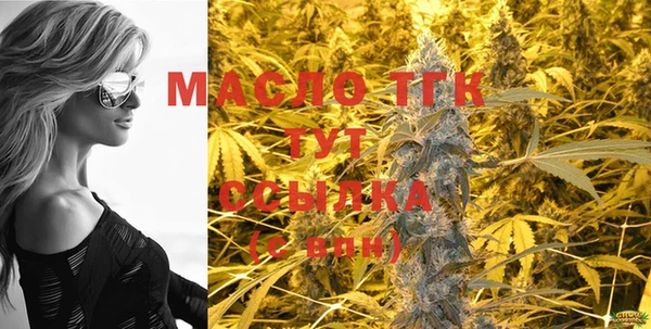дмт Алексин