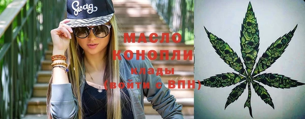 дмт Алексин