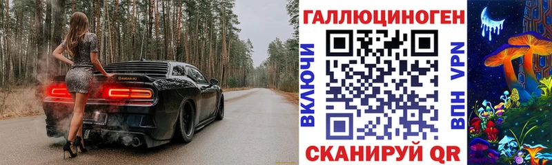 Псилоцибиновые грибы Psilocybine cubensis Крымск